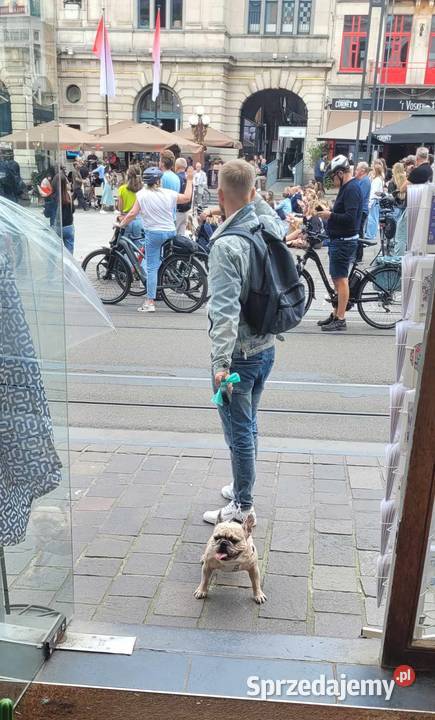Reproduktor Kraków