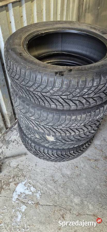 Opony zimowe Yokohama V905 1856015 zima Rybie