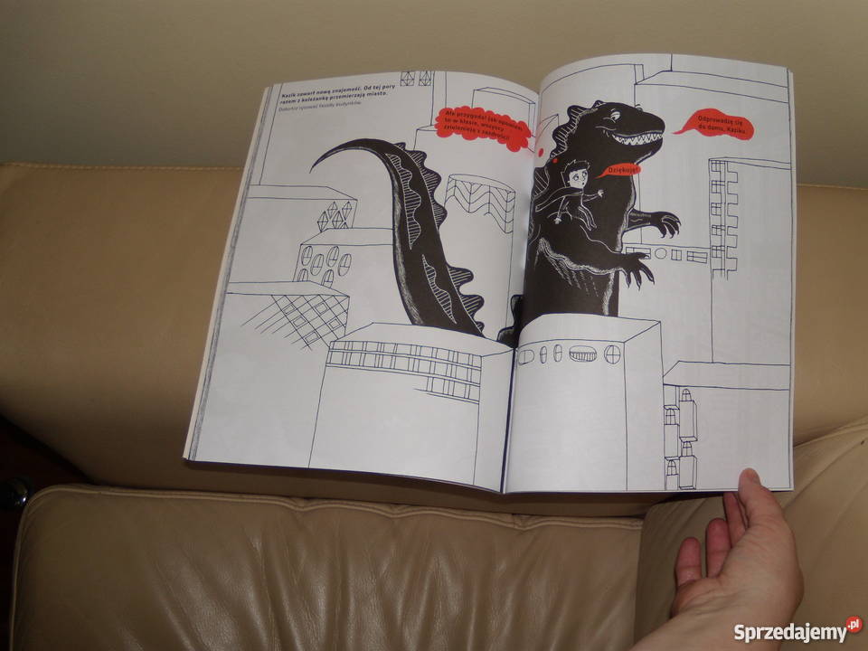 Książka Kazik mieszka w mieście Joanna Rzezak Warszawa