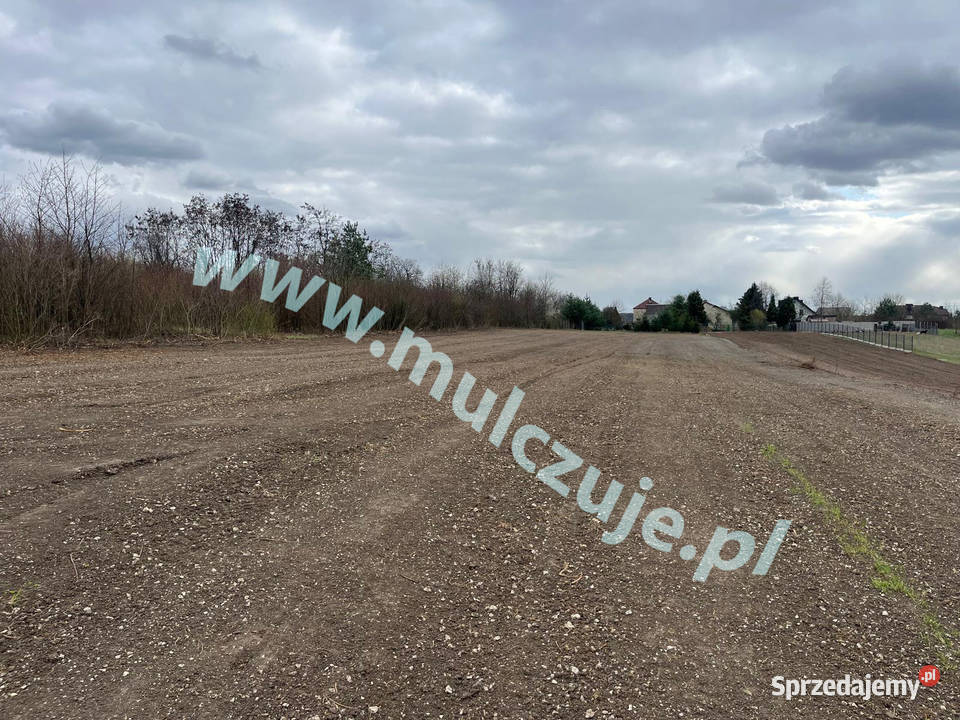 Mulczowanie wgłębne i powierzchowne Karczowanie Dąbrowa Tarnowska