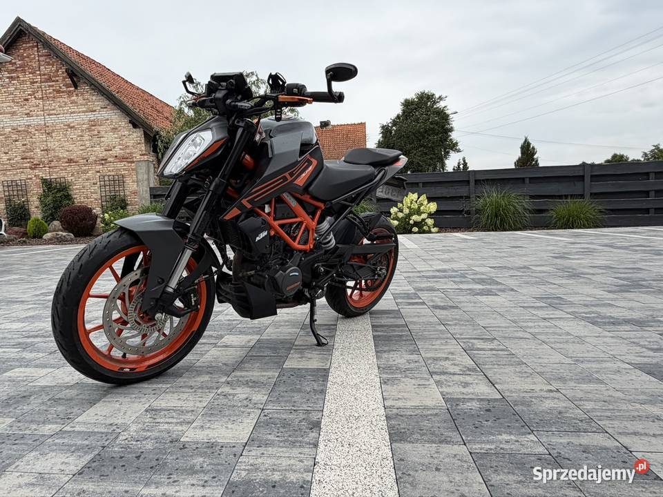 KTM duke 125 Sucholaski