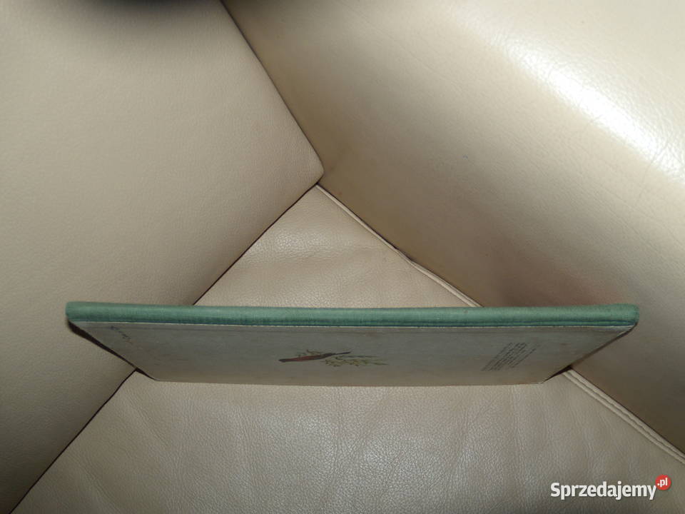 Szary motyl Zofia Chmurowa Książki i Podręczniki Warszawa