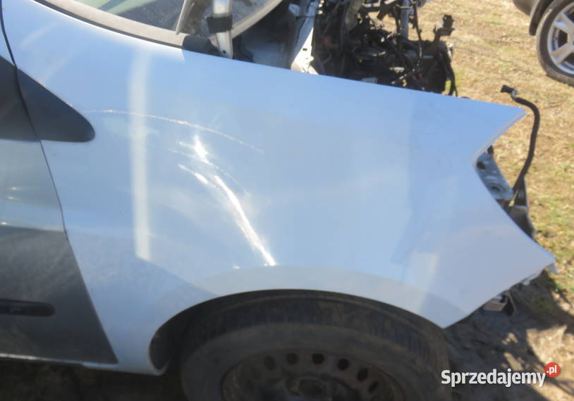 MASKA RENAULT CLIO III TED69 BŁOTNIKI Kaczyce