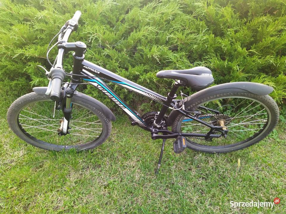 Rower dziecięcy Specialized Hotrock 24 Alu