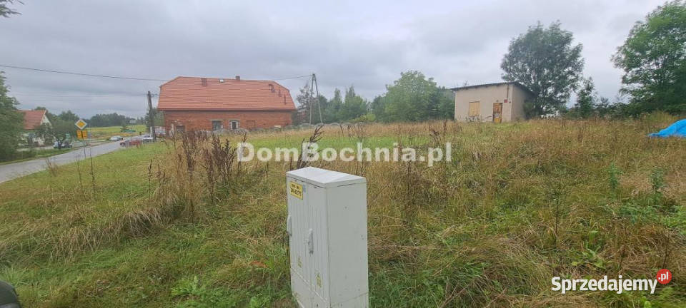 Działka 1186 metrów Borek