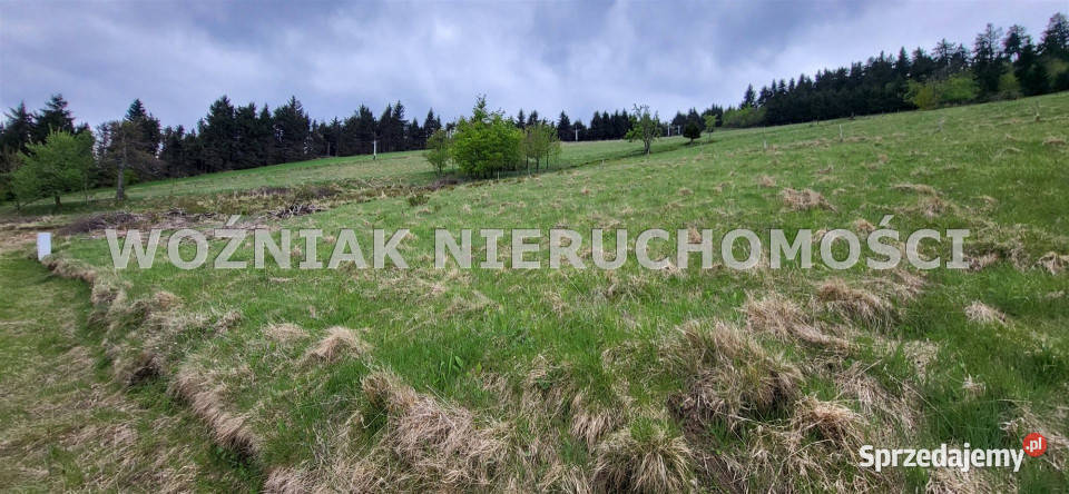 Grunt 879m2 Rzeczka