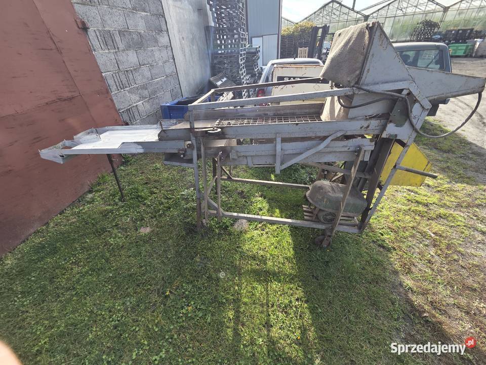 Sortownik do ziemniaków Kalisz