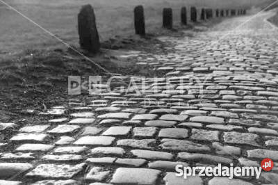 Kostka brukowa starego kocie łby płyty granitowe Bolesławiec