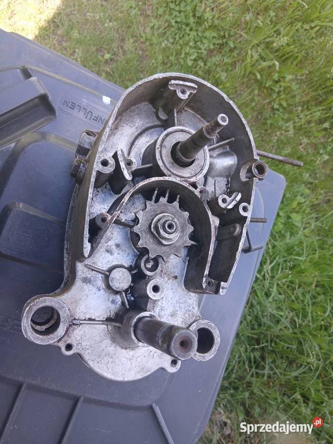 komar sztywniak pedalowiec kartery silnik małopolskie Wola Rzędzińska