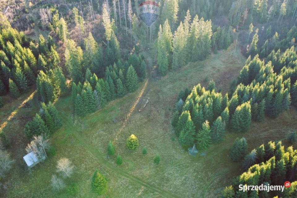 DZIAŁKI ROLNE SPRZEDAŻ DZIANISZ SKŁADZISKA 20m