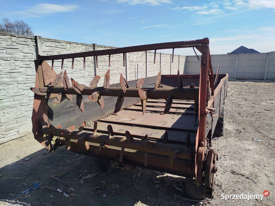 Rozrzutnik Piotrków Trybunalski