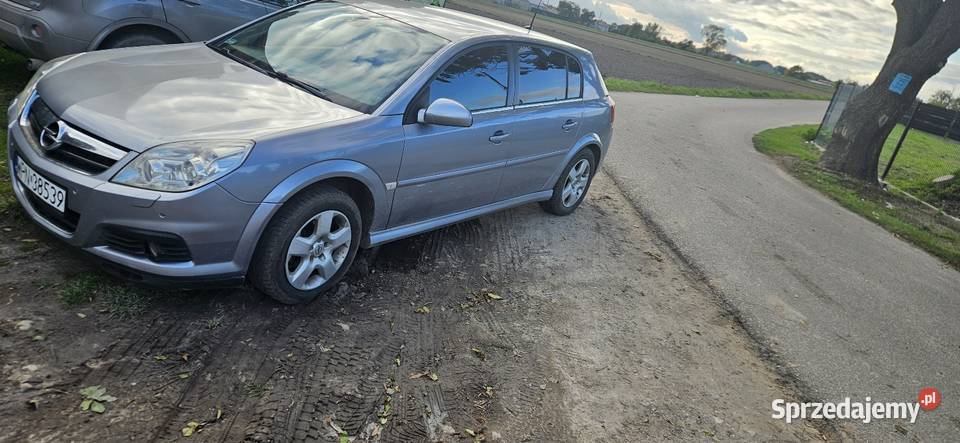Sprzedam Opel Signum immobilizer Płońsk sprzedam