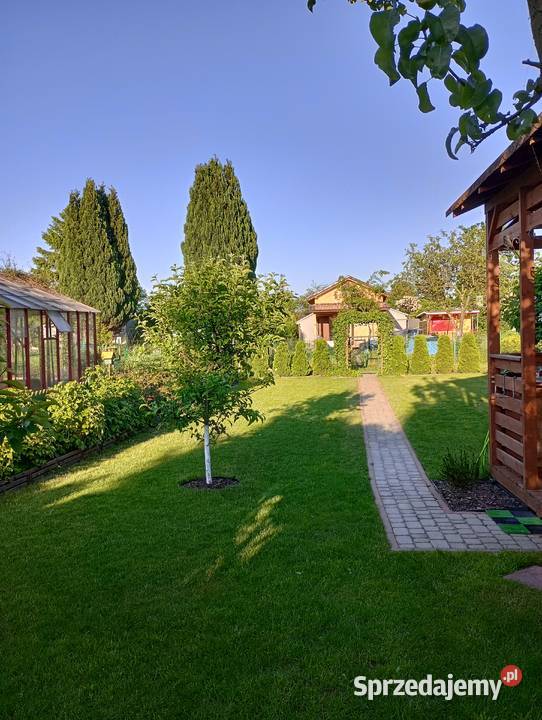 Działka ROD Stogi Gdańsk