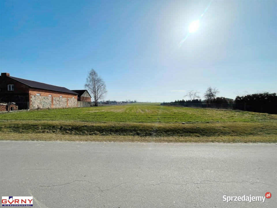 Działka Gomulin 16400m2