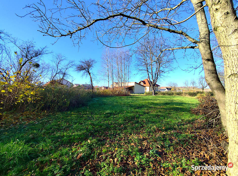 Sprzedam działkę budowlaną w Nowym Pożogu Sprzedaż lubelskie Końskowola