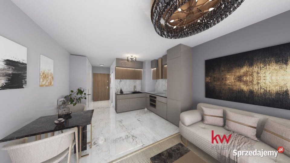 Mieszkanie 3049m2 1 pok Poznań Sprzedaż sprzedam