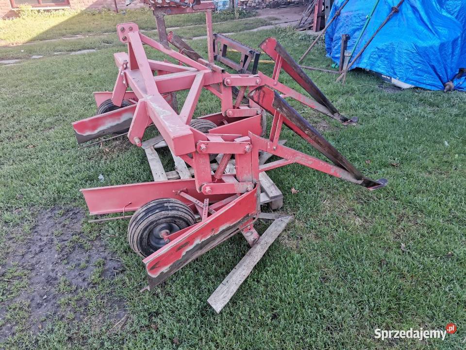 Scinarka do fasoli 6 rzedowa Pozostałe Łaszczów sprzedam