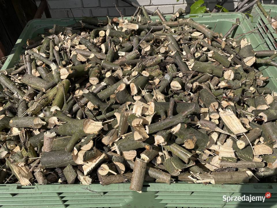 Zrębki opałowe jabłoniowe sprzedam Puławy