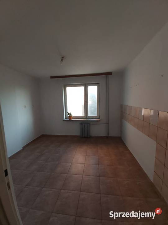 Wynajmę mieszkanie 65m2 zaraz w Parczewie Parczew