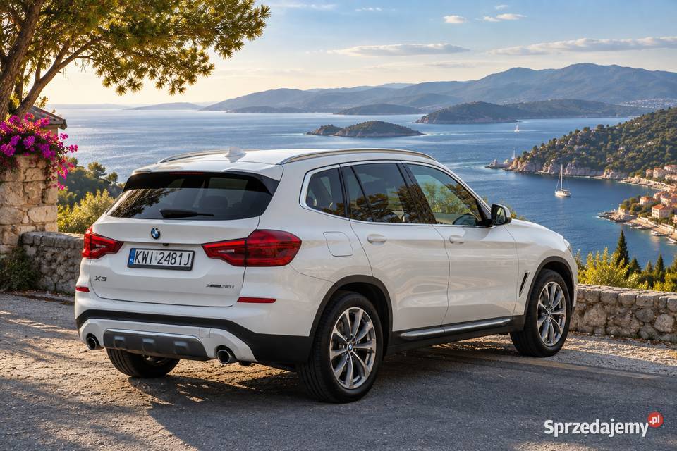 BMW X3 xDrive30i 252 Luxury Line 2019 75 300 Niepołomice
