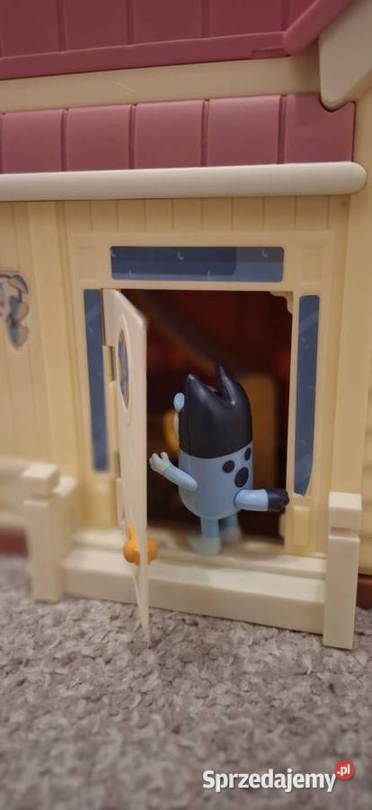 Bluey Domek plus namiot Bingo zestaw mazowieckie Warszawa