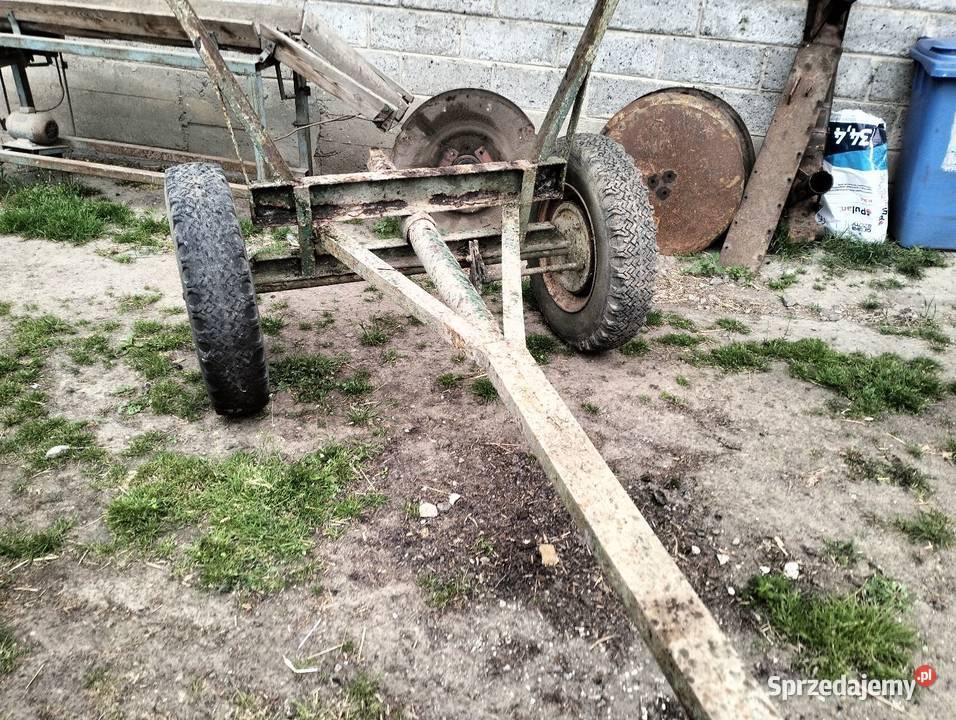 Sprzedam wóz konny Czechy