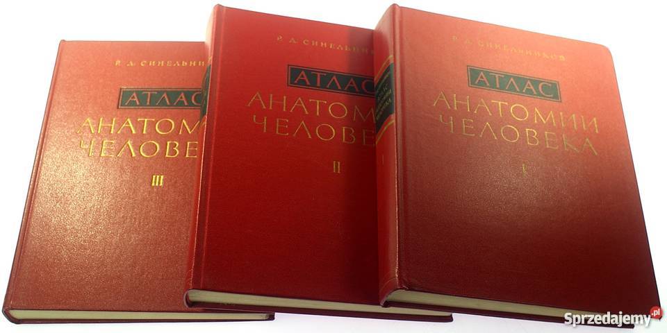 ATLAS ANATOMII CZŁOWIEKA TOM IIII