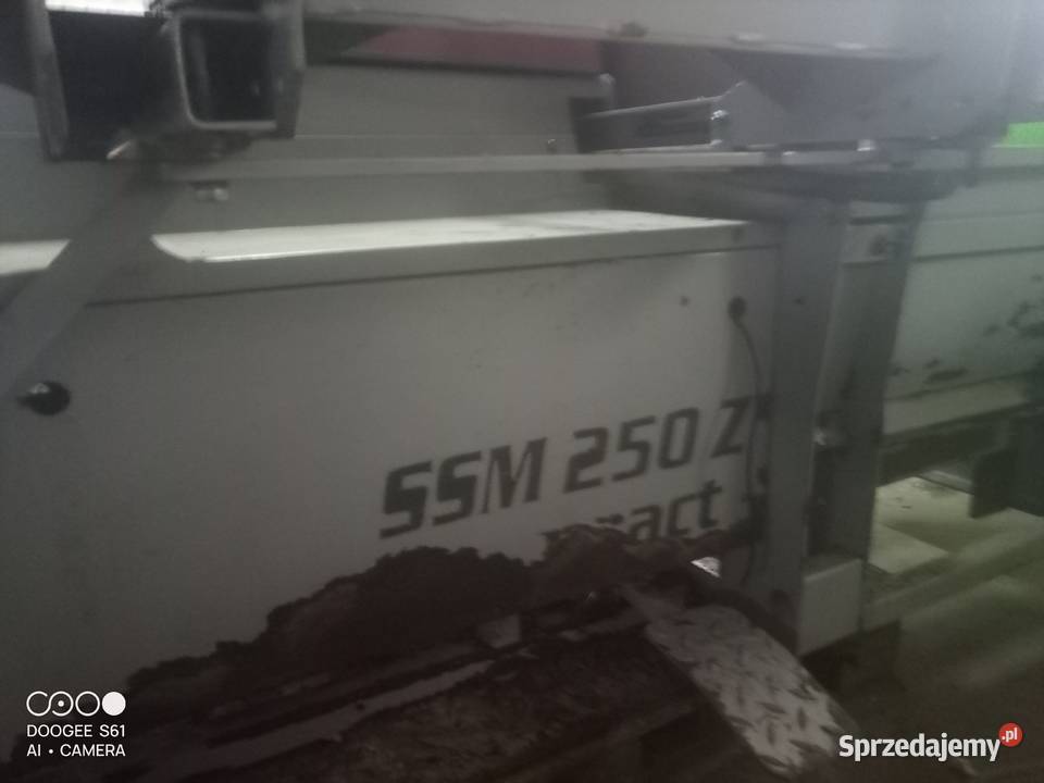 Łuparka piłołuparka