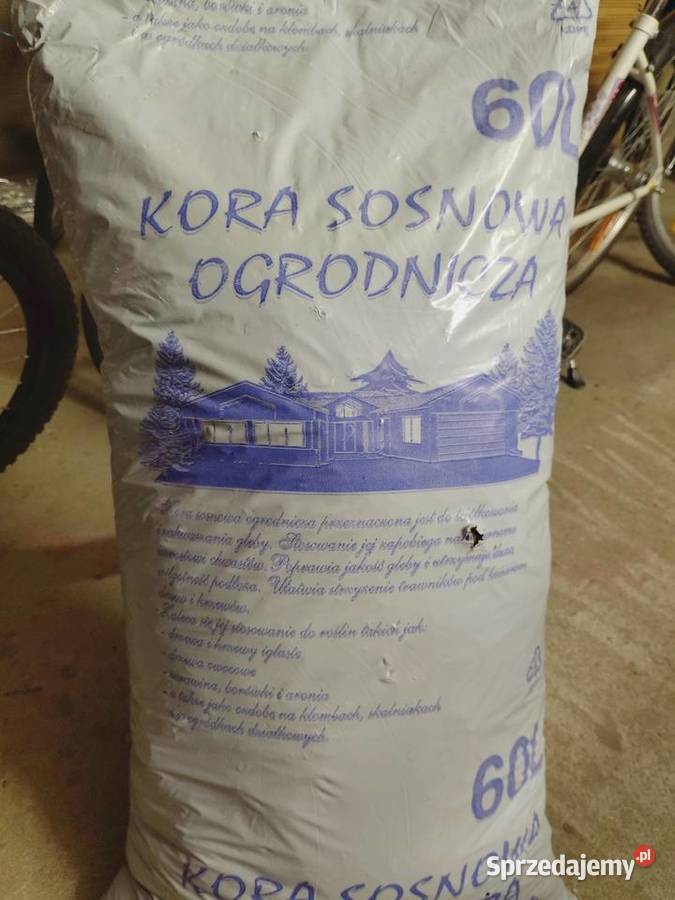 Kora ogrodowa średnia Pułtusk