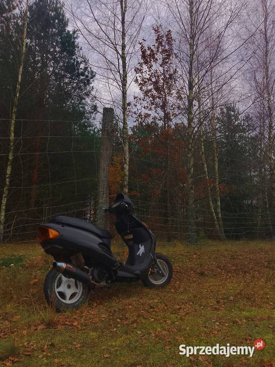 Skuter Zipp 50100cc 4t benzyna Zipp Zipp Pisz