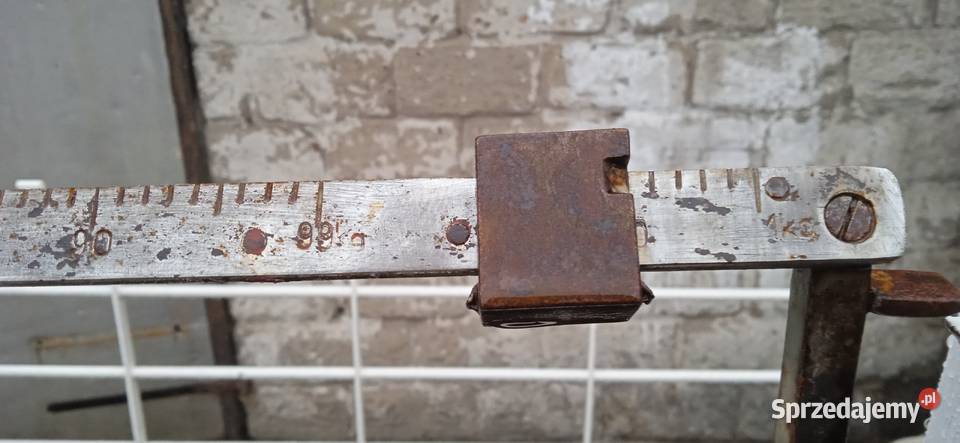 Waga inwentarzowa do 1000 Gostynin