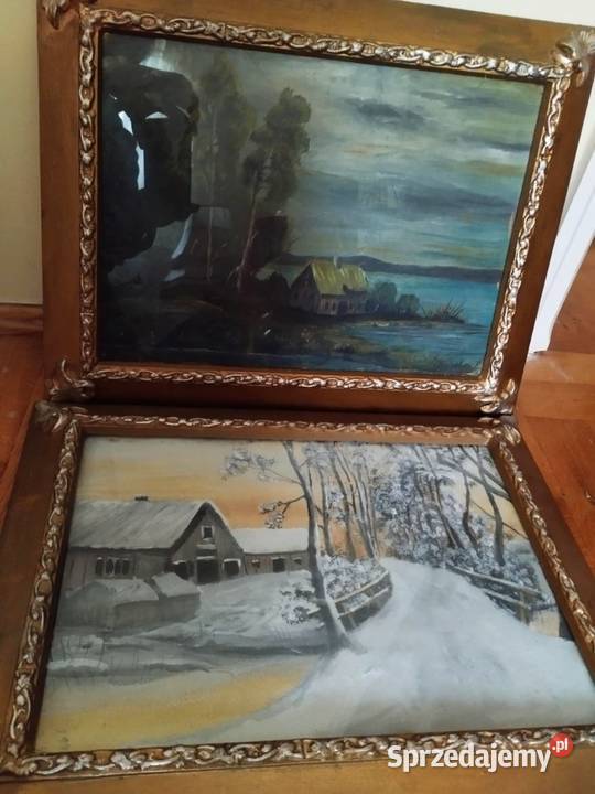 obrazy obraz kwiaty i inne tanio lubuskie Gorzów Wielkopolski