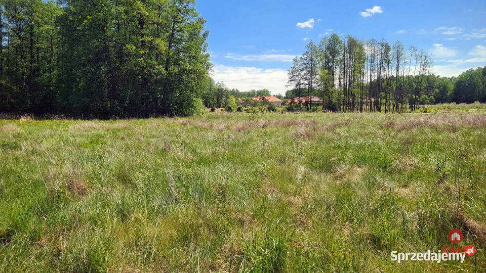 Działka Zaścianki 14263m2