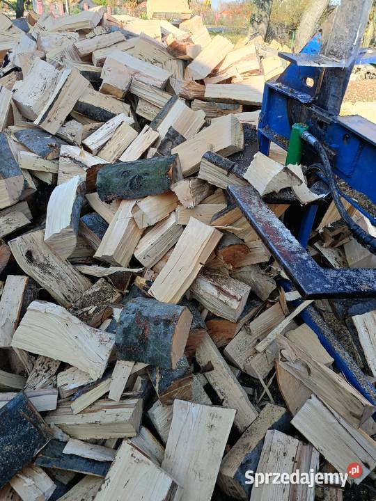 Drewno bukowe podkarpackie