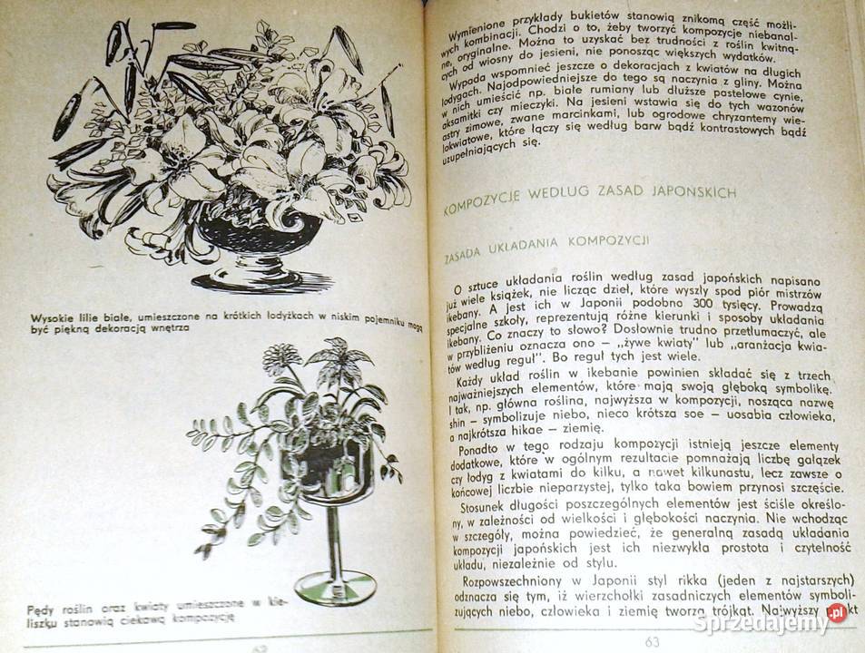 Mieszkanie w zieleni i kwiatach K Muszyński lubelskie