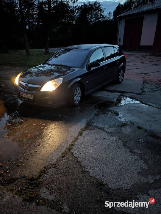 Opel Signum 19 cdti 150 Słupsk