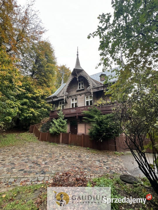 Kameralny lokal do wynajęcia Gdańsk