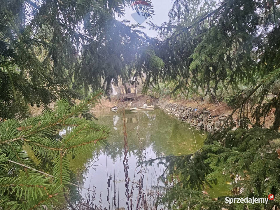 Działka Rod ze stawem do własnej aranżacji utwardzona Michałów-Reginów
