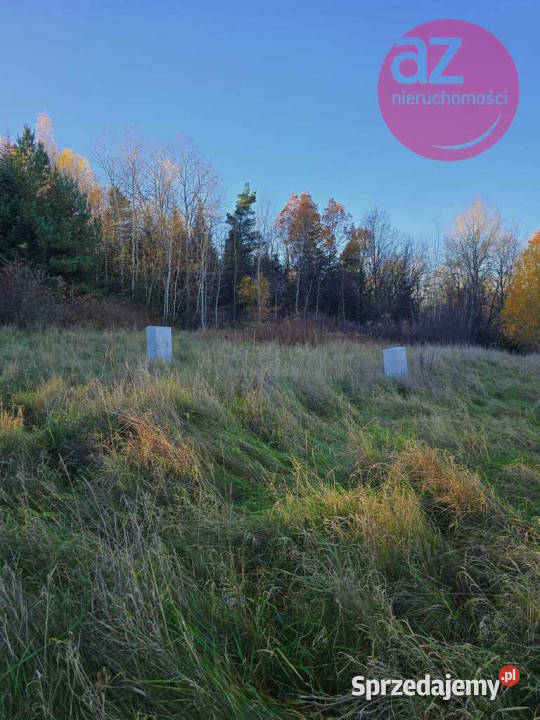 6 działek budowlanych w Stróżówce 24a budowlana Stróżówka