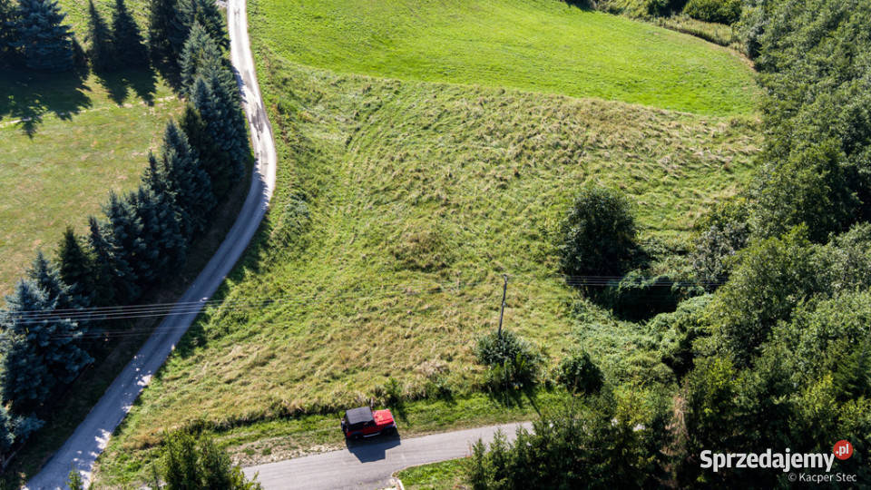 Na sprzedaż działka idealna pod winnice Szczepanowice