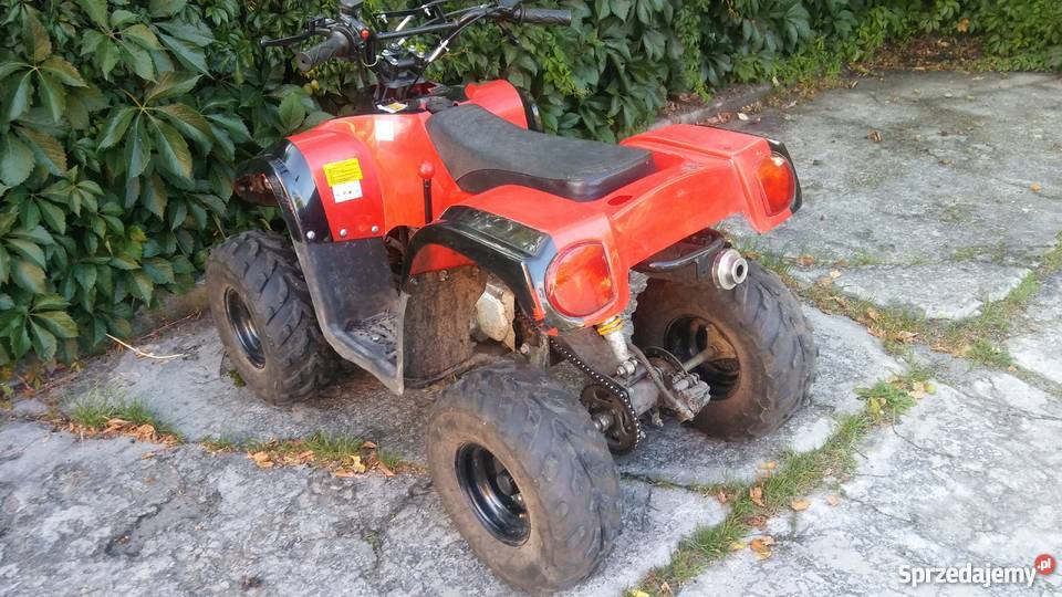 Quad chińczyk Bashan 110
