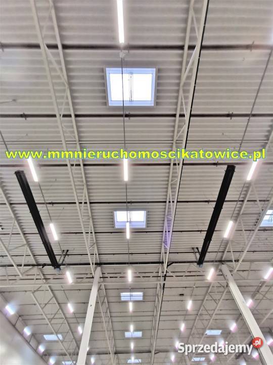Powierzchnie magazynowe 400 do 2000 m2 do Wynajem Będzin