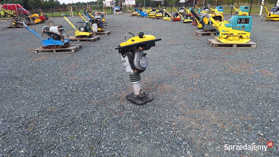 Skoczek Stopa WACKER NEUSON BS 502 plus 11in sprzedam