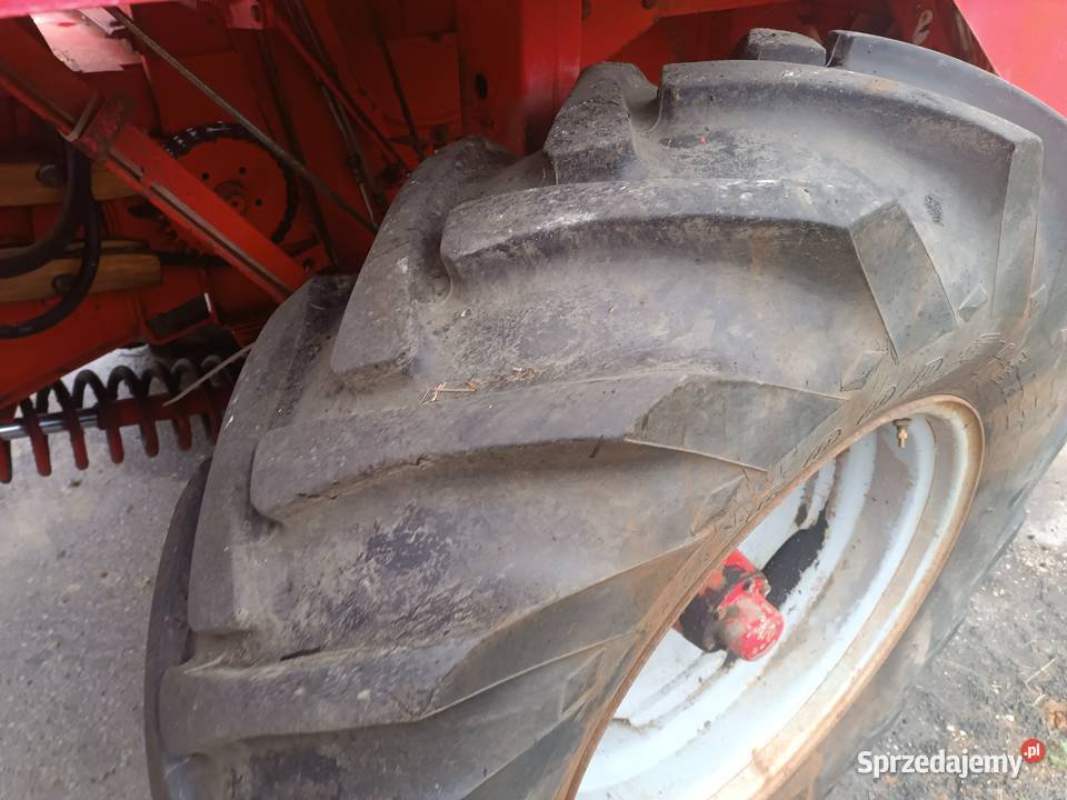 Massey Ferguson 240 inne 206307440 Zbożowe Dragany
