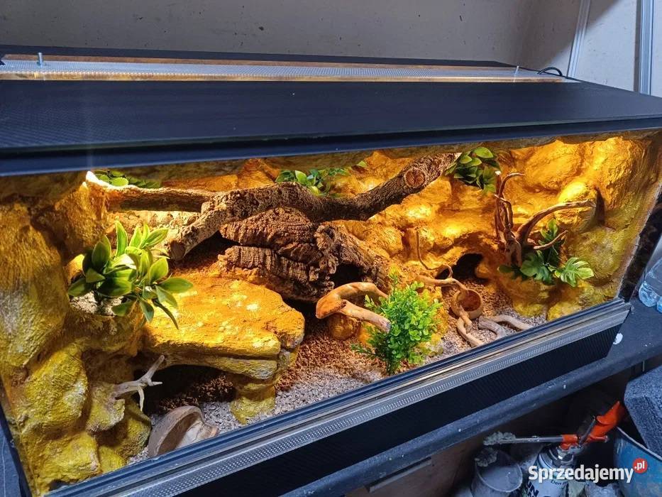 Terrarium gekon 80x40x40