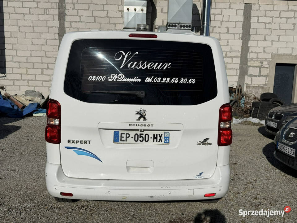 samochody kempingowe Peugeot Expert Peugeot Kampery Gostyń
