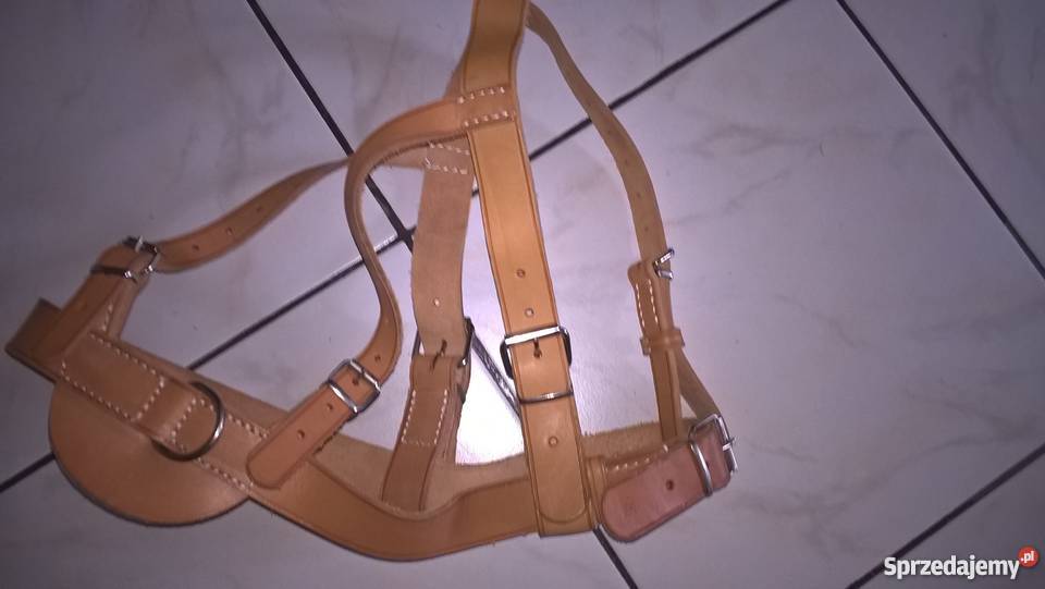 Szelkiszorki dużego psa Dla psów wielkopolskie Leszno