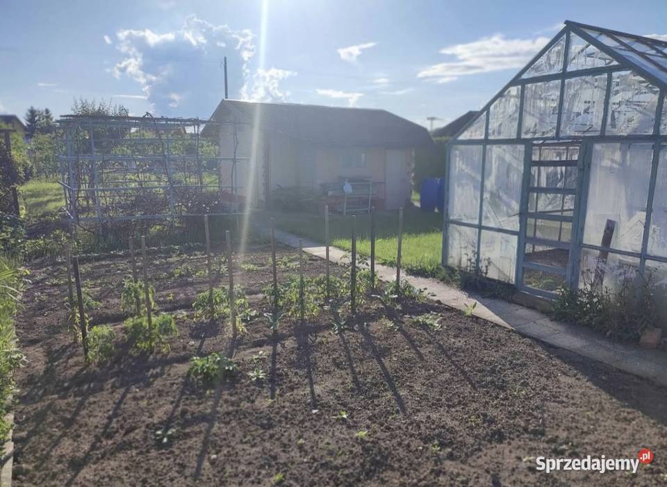 Sprzedam działkę ROD MICKIEWICZA Nysa