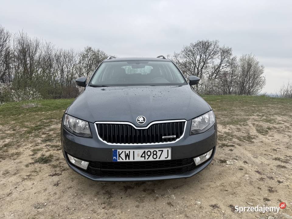 16 TDI Panorama Skóra szyberdach małopolskie Kraków sprzedam