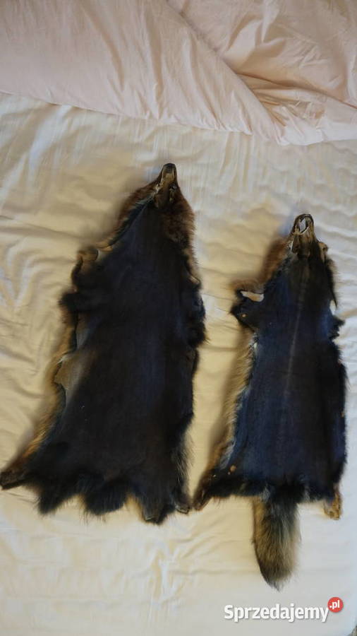 Jenot dwie piękne skóry Pozostałe mazowieckie sprzedam